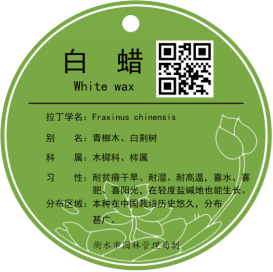C:\Users\Administrator\Documents\DD\DƬ2.png